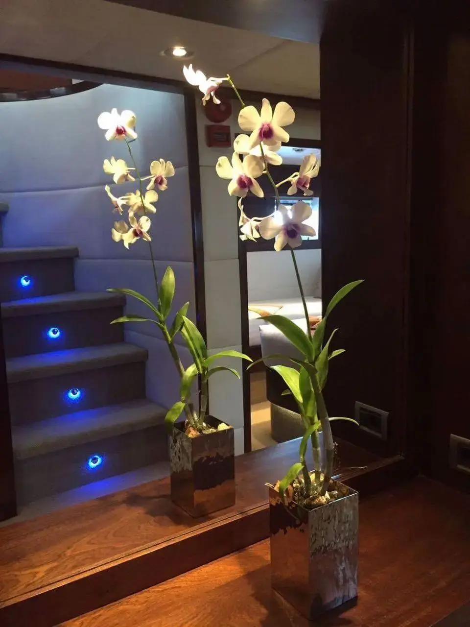 Thumbnail von ビルギン・ティアゴ 100