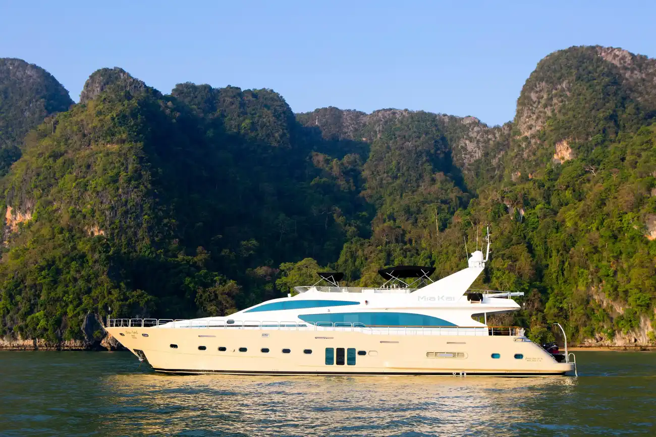 Thumbnail von ビルギン・ティアゴ 100