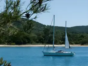 Thumbnail von Amel 55