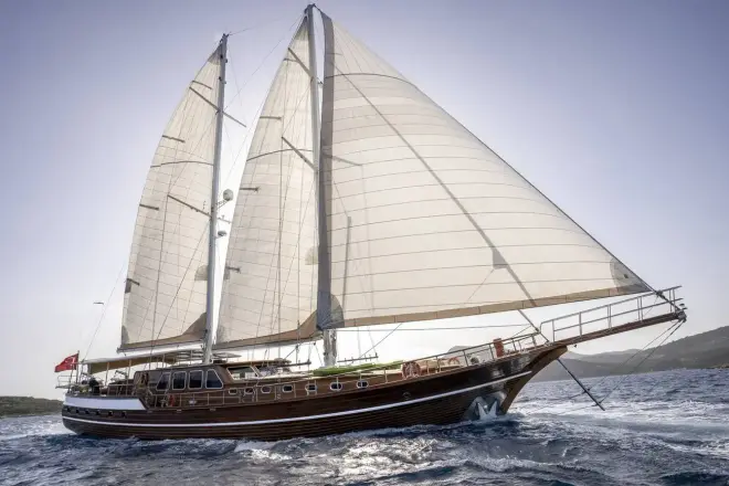 Custom 31M