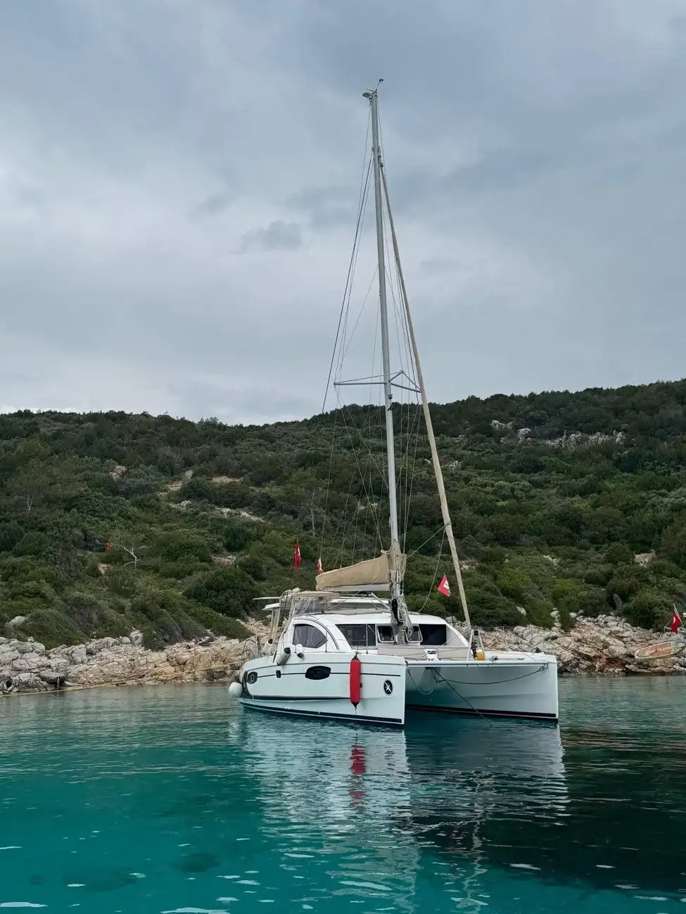 Thumbnail von Leopard 38