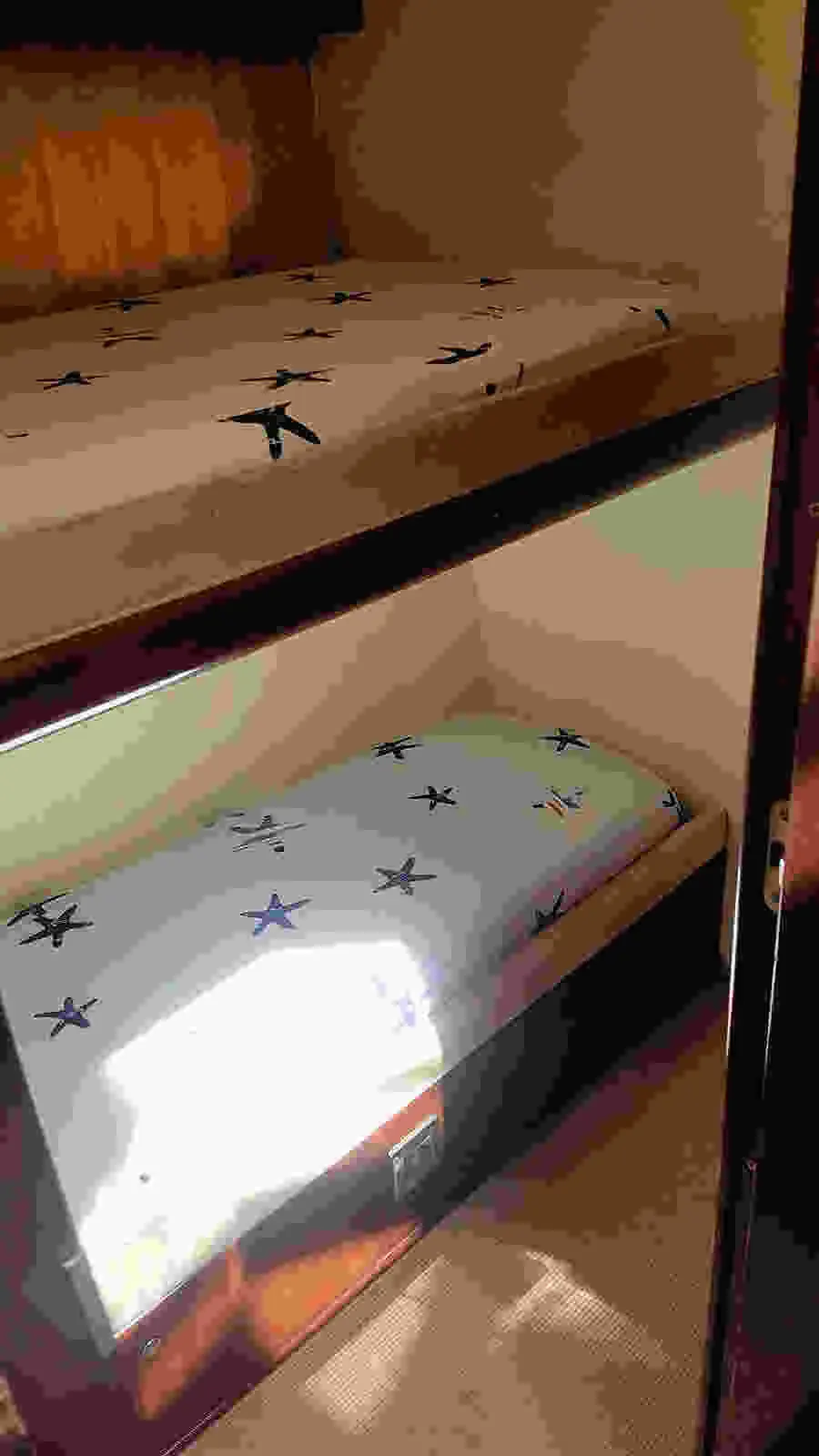 Thumbnail von Princess 20 M