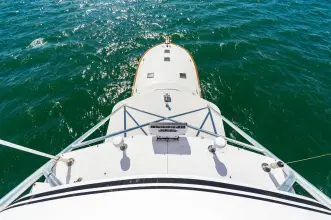 Thumbnail von Buddy Davis 61 Convertible