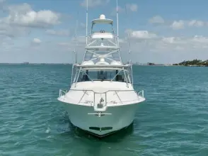 Thumbnail von Viking 42 Express GAMECHANGER