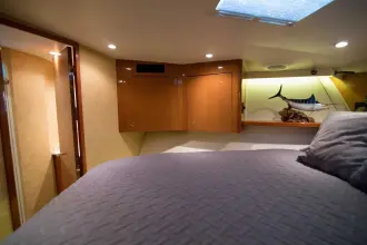 Thumbnail von Viking 50 Open Tiger Six