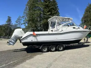 Thumbnail von Boston Whaler 305 Conquest