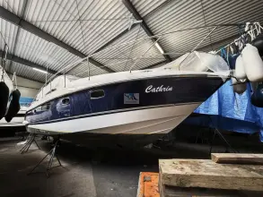 Thumbnail von Fairline Targa 38