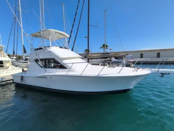 Hatteras 39 Convertible White Shark