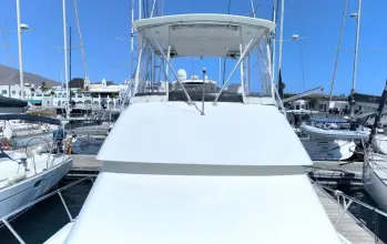 Thumbnail von Hatteras 39 Convertible White Shark