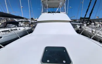 Thumbnail von Hatteras 39 Convertible White Shark