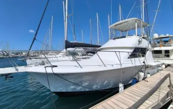 Thumbnail von Hatteras 39 Convertible White Shark