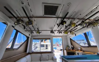 Thumbnail von Hatteras 39 Convertible White Shark
