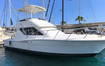 Thumbnail von Hatteras 39 Convertible White Shark