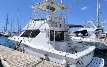 Thumbnail von Hatteras 39 Convertible White Shark