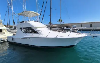 Thumbnail von Hatteras 39 Convertible White Shark