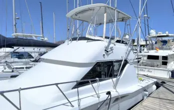 Thumbnail von Hatteras 39 Convertible White Shark