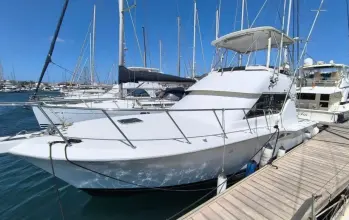 Thumbnail von Hatteras 39 Convertible White Shark