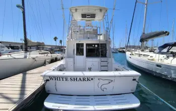 Thumbnail von Hatteras 39 Convertible White Shark