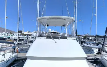 Thumbnail von Hatteras 39 Convertible White Shark