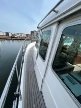 Thumbnail von Hardy 50DS PLYMOUTH DOLPHIN