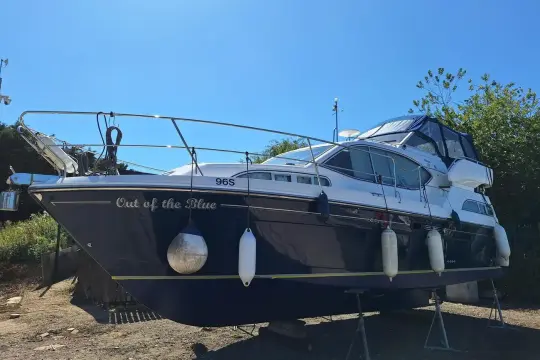 Haines 320