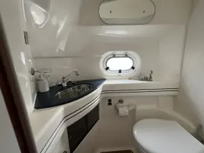 Thumbnail von Sealine F43 Beliebter Flybridge-Kreuzer