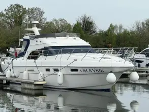 Thumbnail von Sealine F43 Beliebter Flybridge-Kreuzer