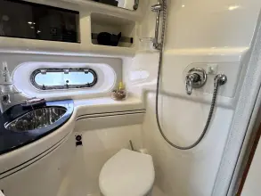 Thumbnail von Sealine F43 Beliebter Flybridge-Kreuzer