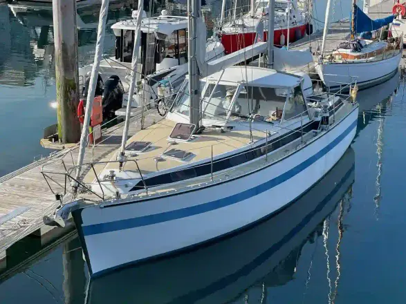 Multihull Centre Ltd Tek Seferlik Kompozit Motor Yat Anam Cara of Alderney