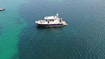 Botnia Targa 31