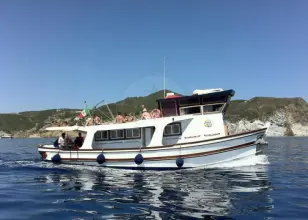 Benetti Schlepper