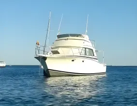 Thumbnail von Bertram 38 Spor Balıkçılık MK 3