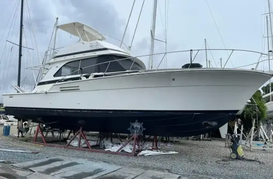 Bertram 46