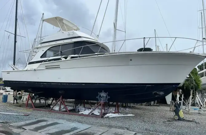 Bertram 46