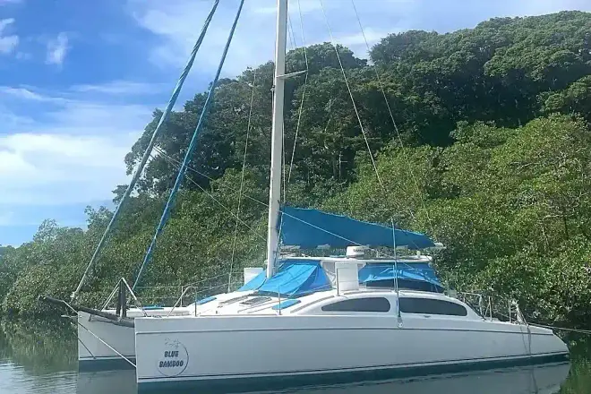Maine Cat 41 Blue Bamboo