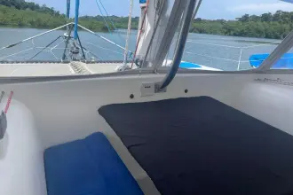 Thumbnail von Maine Cat 41 Blue Bamboo