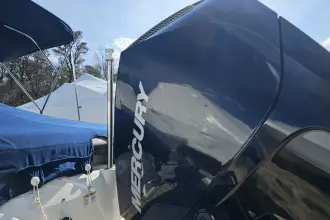 Thumbnail von Sea Ray SPX 210 Outboard