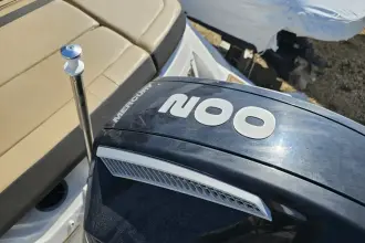 Thumbnail von Sea Ray SPX 210 Outboard