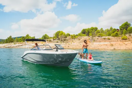 Bayliner D20I