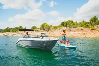 Thumbnail von Bayliner D20I