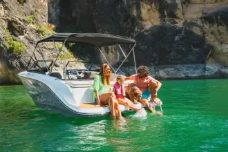 Thumbnail von Bayliner D20I