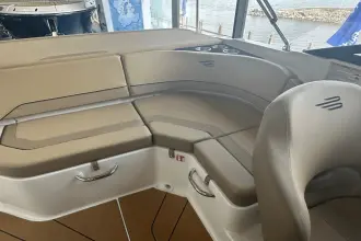 Thumbnail von Bayliner D20I