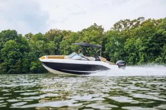 Thumbnail von Bayliner D20I