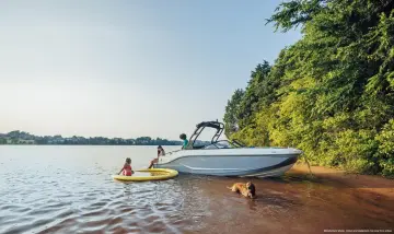 Thumbnail von Bayliner D20I