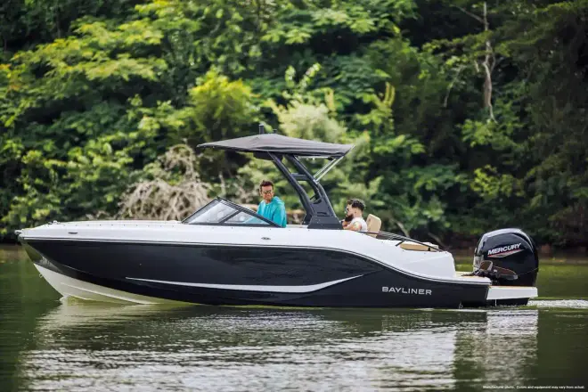 Bayliner D20I