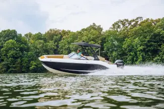 Thumbnail von Bayliner D20I