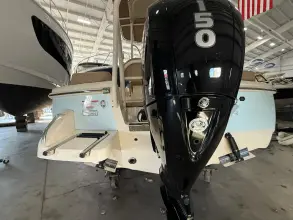 Thumbnail von Scout 195 Sportfish