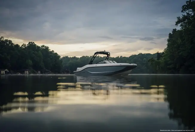 Bayliner D20I