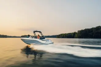 Thumbnail von Bayliner D20I