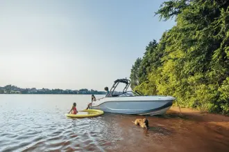 Thumbnail von Bayliner D20I